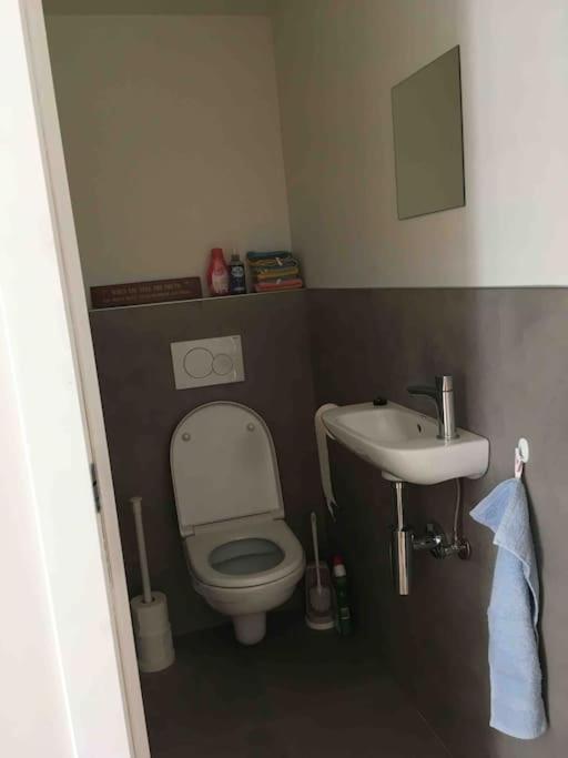 'Het T-Huisje' Volledig Ingerichte Studio Leuven Buitenkant foto